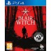 Blair Witch (PS4, русские субтитры)